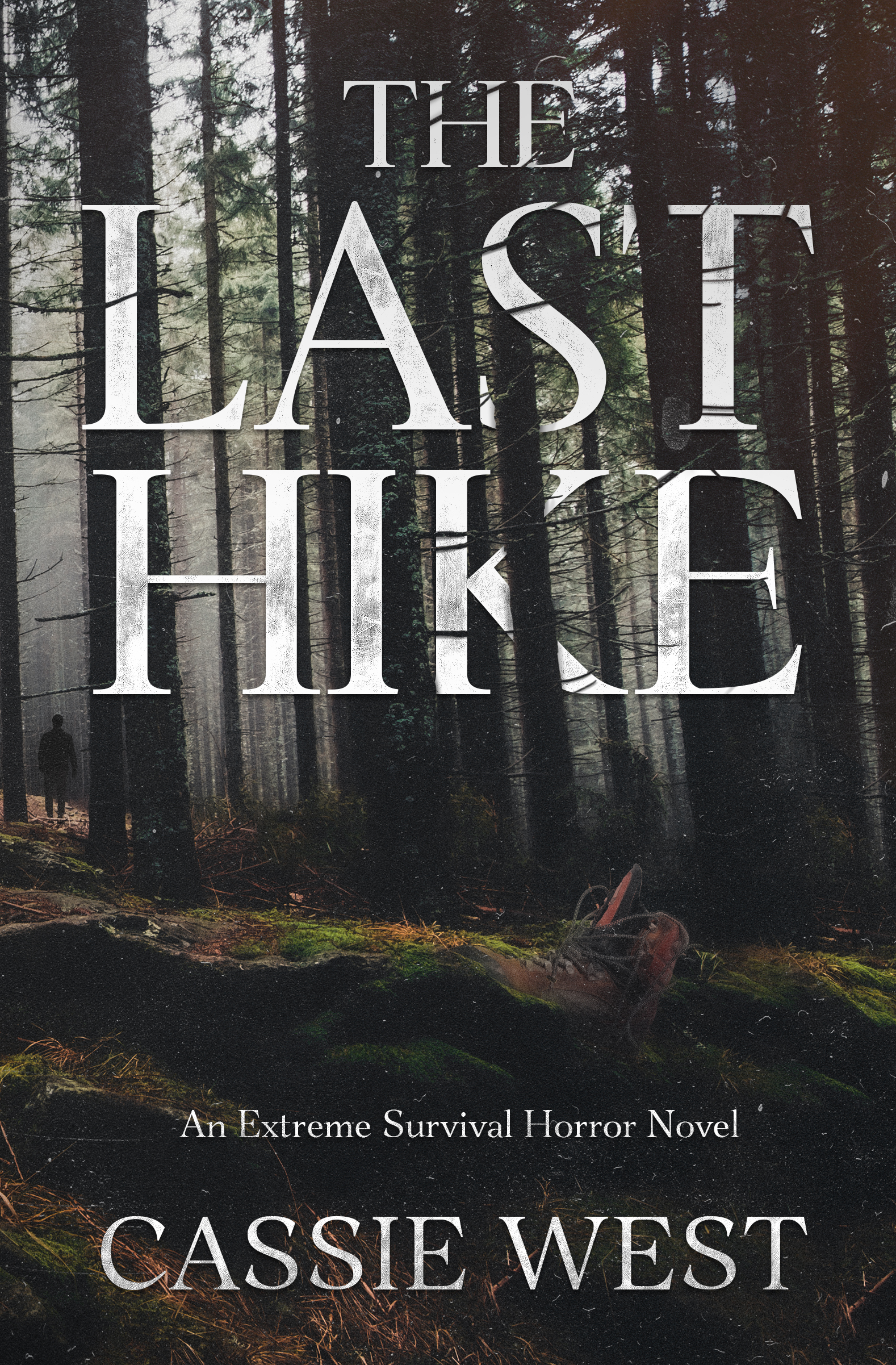 The Last Hike book cover — a figure alone in a dark forest